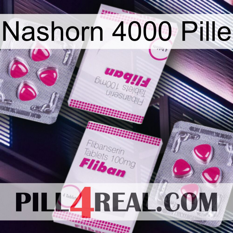 Rhino 4000 Pill 33